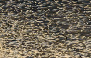 Climate Change and Agriculture: Weather Risks for Food Security